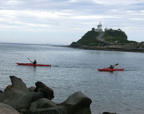 Newcastle Kayak Tours - Gold Coast Attractions 0