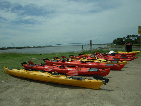 Newcastle Kayak Tours - Gold Coast Attractions 2