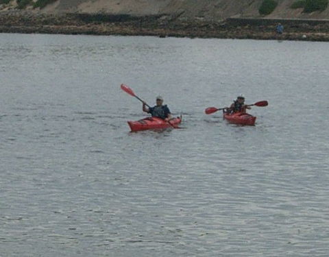 Newcastle Kayak Tours - Gold Coast Attractions 4