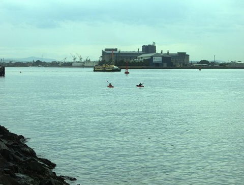Newcastle Kayak Tours - Gold Coast Attractions 5