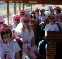 Newcastles Famous Tram - Gold Coast Attractions