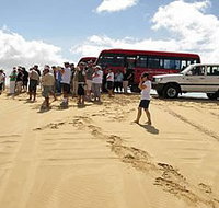 Port Stephens 4WD Tours - Gold Coast Attractions