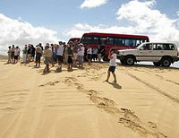 Port Stephens 4WD Tours