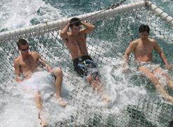 Tex Tours - Gold Coast Attractions 2