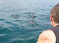 Tex Tours - Gold Coast Attractions 3