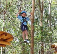 TreeTops Newcastle - Gold Coast Attractions