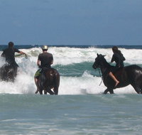 Pegasus Park Equestrian Centre - Gold Coast Attractions