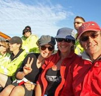 Byron Bay Whale Watching - Gold Coast Attractions