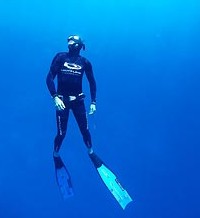 Byron Bay Dive Centre - Gold Coast Attractions 1