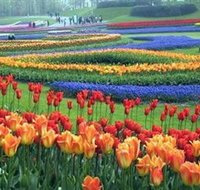 Botanica World Discoveries - Gold Coast Attractions