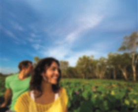 AAT Kings Guided Tours (Top End) - Gold Coast Attractions 3