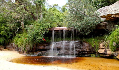 Collins Flat Beach - Gold Coast Attractions 1