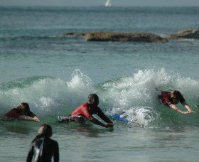 SEA Australia - Gold Coast Attractions 2