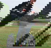 Segway Tours Australia - Gold Coast Attractions