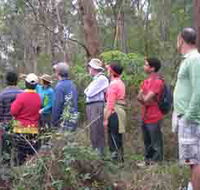 Boronia Tours - Gold Coast Attractions
