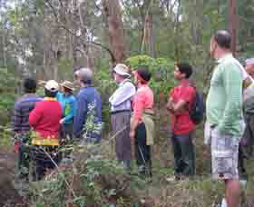 Boronia Tours - Gold Coast Attractions 0