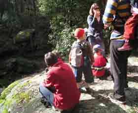 Boronia Tours - Gold Coast Attractions 2