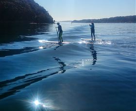 Avalon Stand Up Paddle - Gold Coast Attractions 2