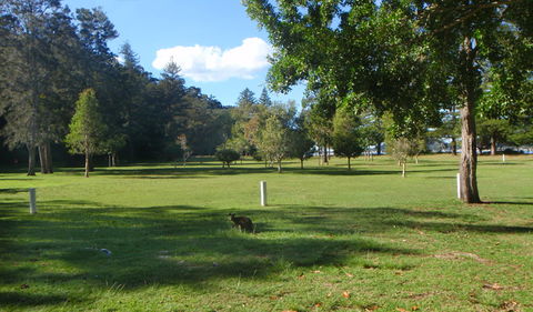 The Basin Picnic Area - Gold Coast Attractions 1