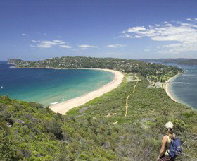 Palm Beach - Gold Coast Attractions 7