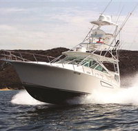 1300 Big Fish - Gold Coast Attractions