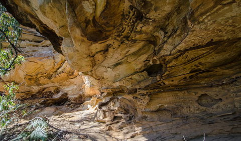 Marramarra National Park - Gold Coast Attractions 0
