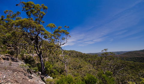 Marramarra National Park - Gold Coast Attractions 1