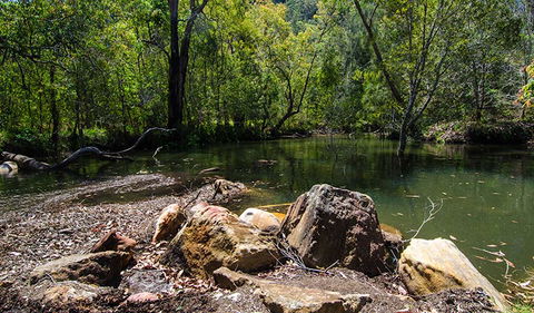Marramarra National Park - Gold Coast Attractions 3