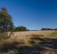Scheyville horse riding trails - Gold Coast Attractions
