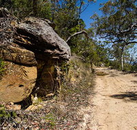 Canoelands Ridge walking track - Gold Coast Attractions