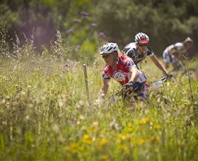 The Australian Botanic Garden Mount Annan - Gold Coast Attractions 2