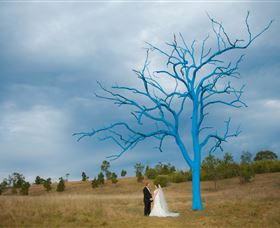 The Australian Botanic Garden Mount Annan - Gold Coast Attractions 5