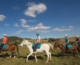 Sugarloaf Horse Centre - Gold Coast Attractions 1