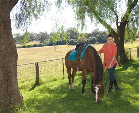 Sugarloaf Horse Centre - Gold Coast Attractions 0