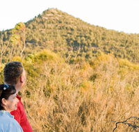 Piles Creek loop - Gold Coast Attractions