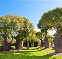 Mt Penang Gardens - Gold Coast Attractions