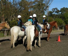 Darkes Forest Riding Ranch - Gold Coast Attractions 0
