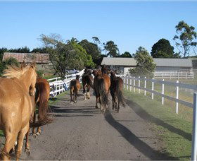 Darkes Forest Riding Ranch - Gold Coast Attractions 1