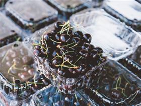 Adelaide Farmers' Market Showground - Gold Coast Attractions 1