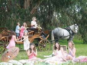 Classic Carriage Drives - Gold Coast Attractions 1