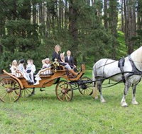 Classic Carriage Drives - Gold Coast Attractions