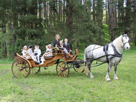 Classic Carriage Drives - Gold Coast Attractions 0
