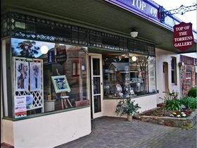 Top Of The Torrens Gallery Incorporated - Gold Coast Attractions 0