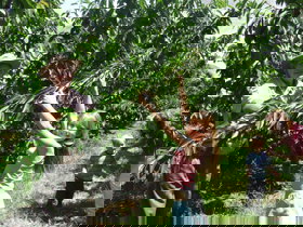  Gold Coast Attractions