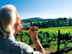 Ashton Hills Vineyard - Gold Coast Attractions 0