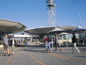 Mount Lofty Summit - Gold Coast Attractions 1