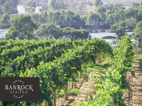 Banrock Station Wine And Wetland Centre - Gold Coast Attractions 0