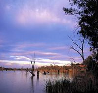 Loch Luna Game Reserve and Moorook Game Reserve - Gold Coast Attractions