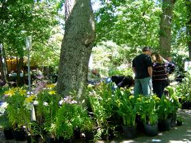 The Stirling Market - Gold Coast Attractions 0