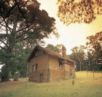 Heysen - The Cedars